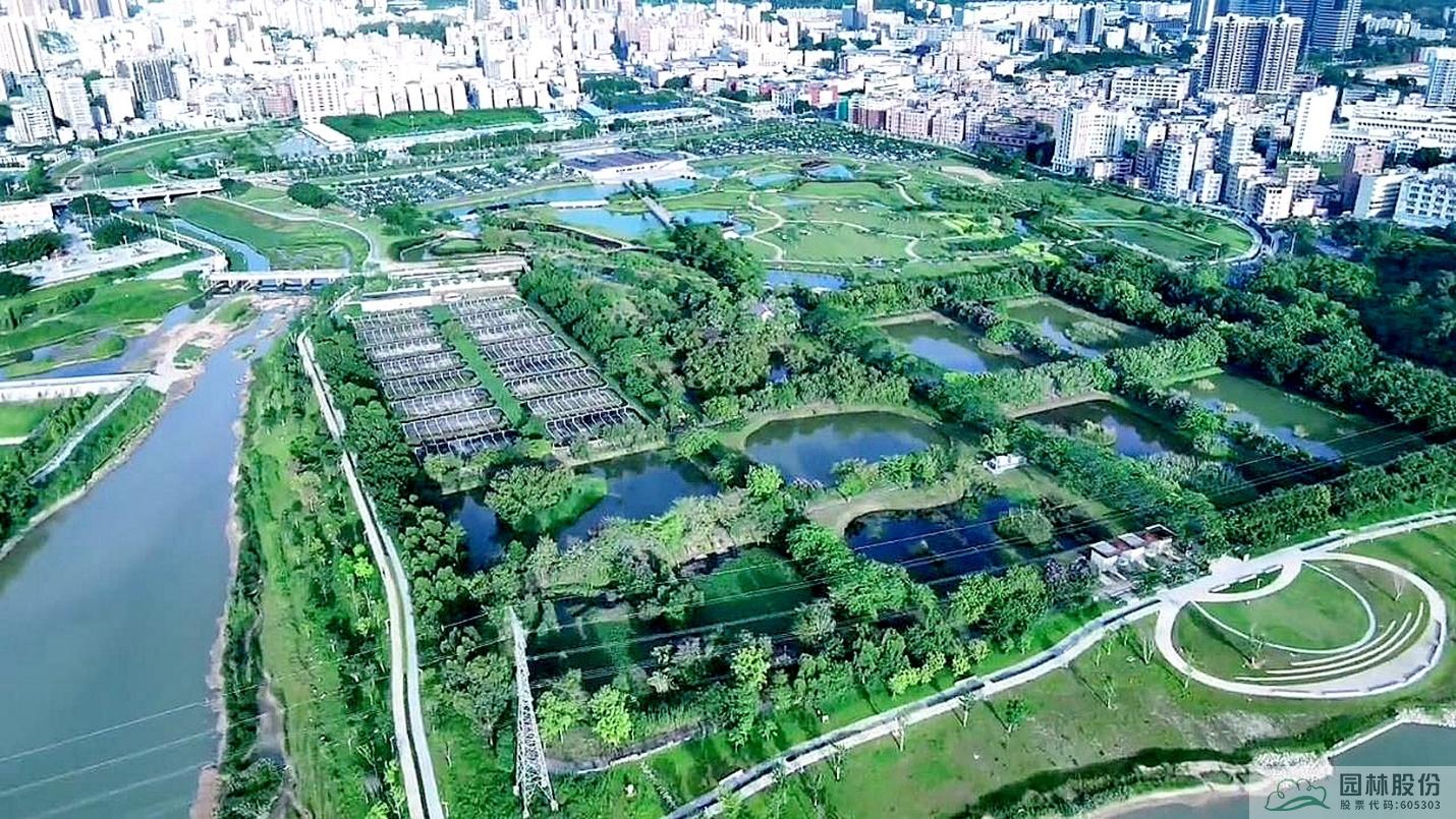 亚洲精品白浆高清久久久久久