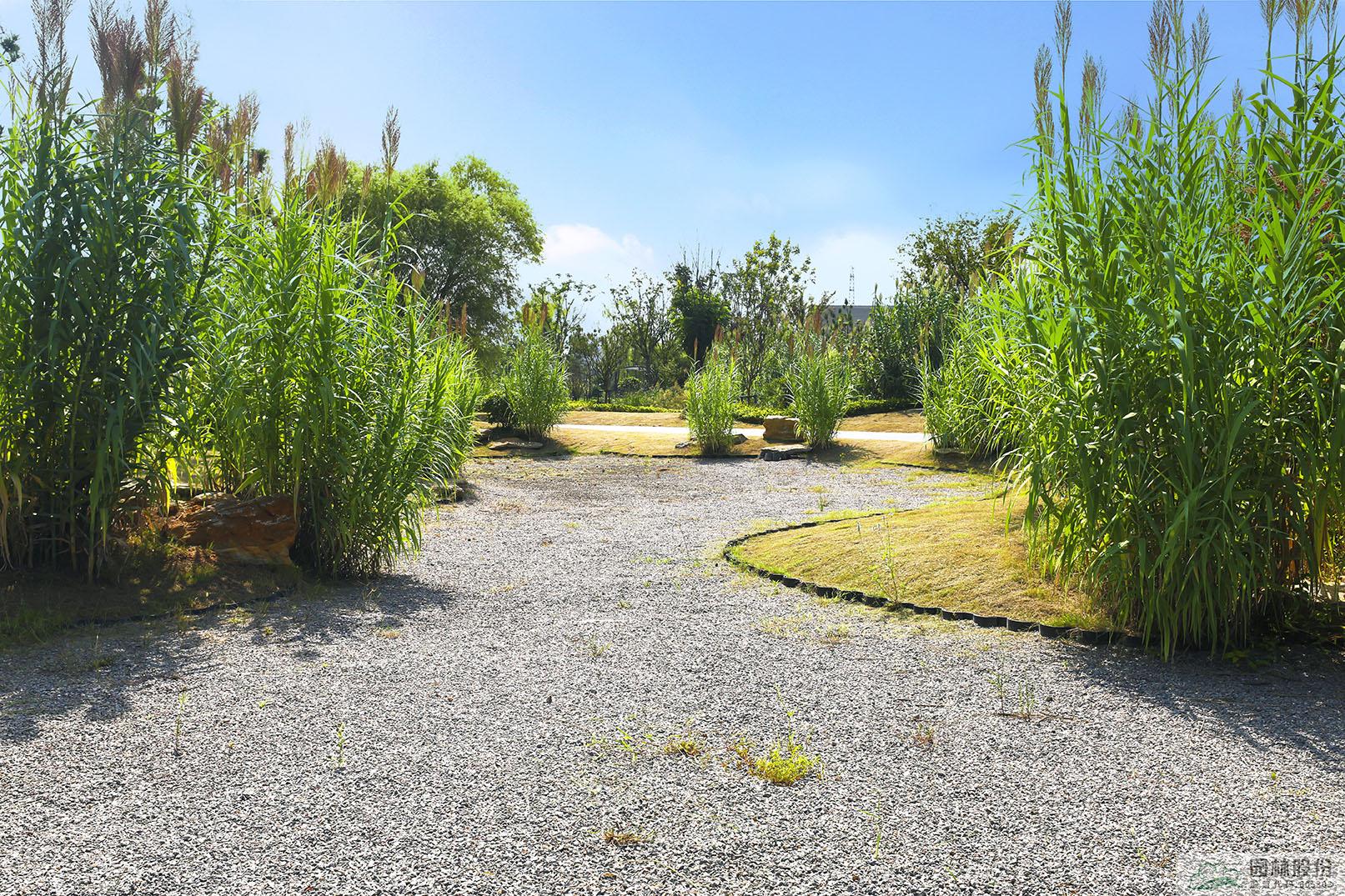 亚洲精品白浆高清久久久久久