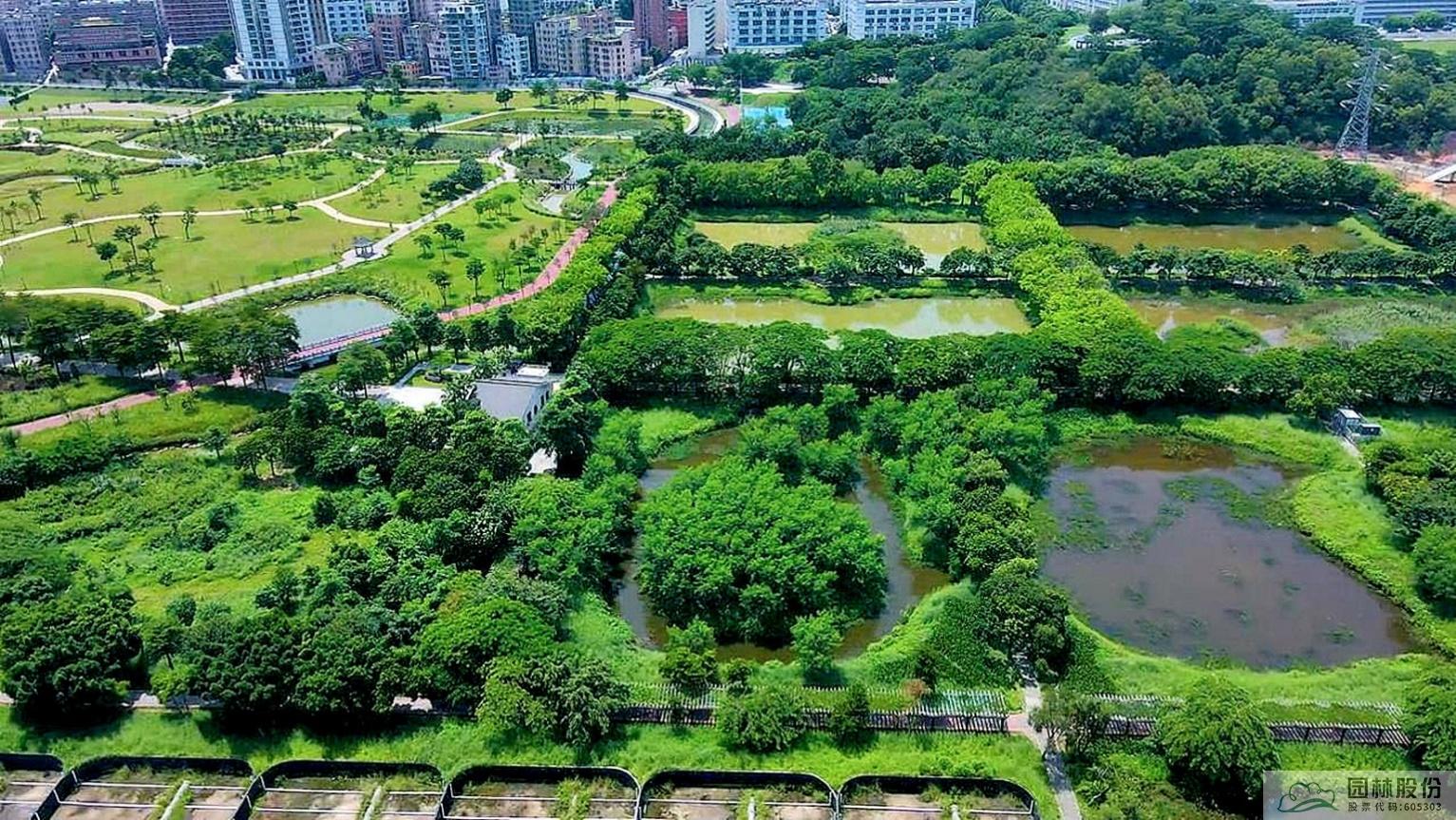 亚洲精品白浆高清久久久久久