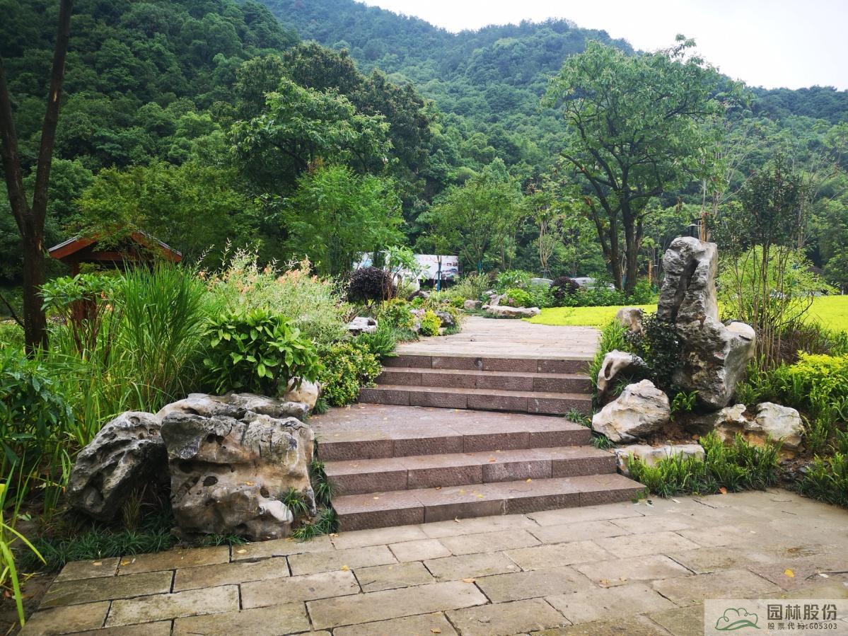 亚洲精品白浆高清久久久久久