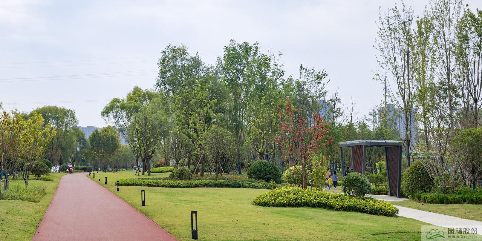 亚洲精品白浆高清久久久久久