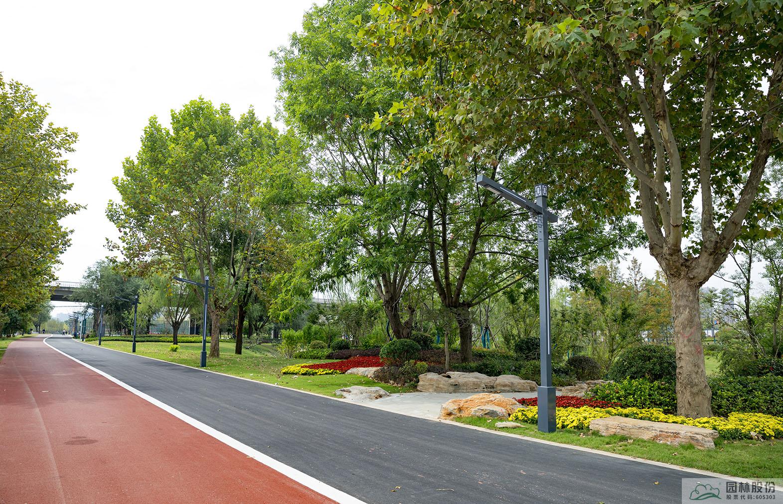 亚洲精品白浆高清久久久久久