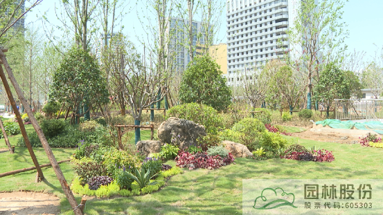 亚洲精品白浆高清久久久久久