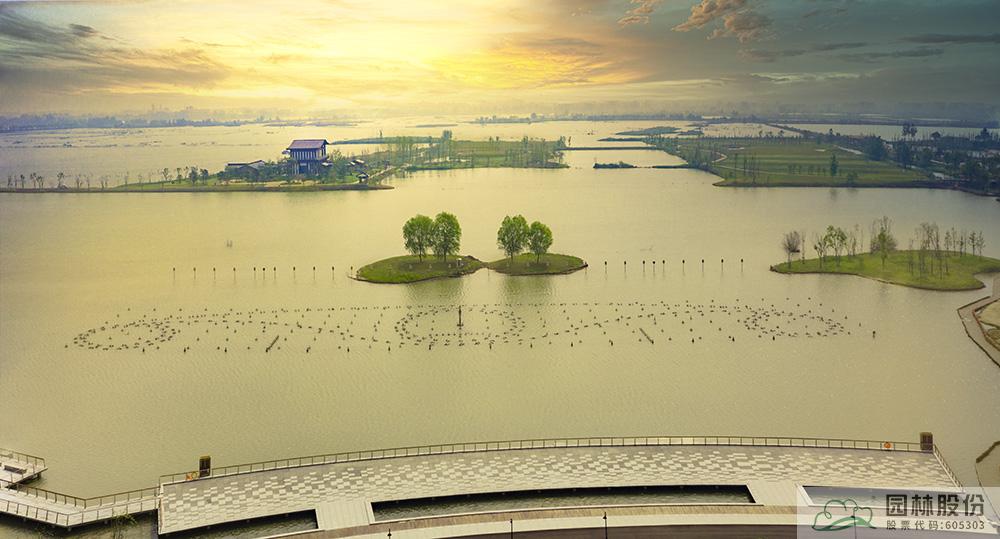 亚洲精品白浆高清久久久久久