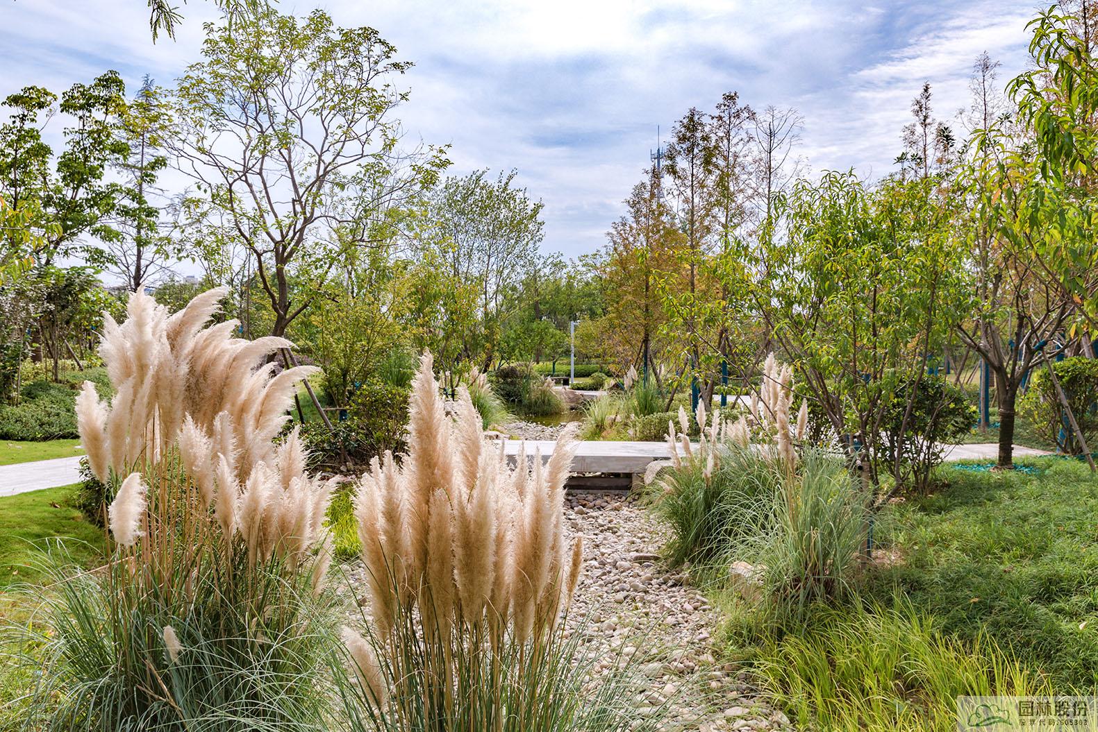 亚洲精品白浆高清久久久久久