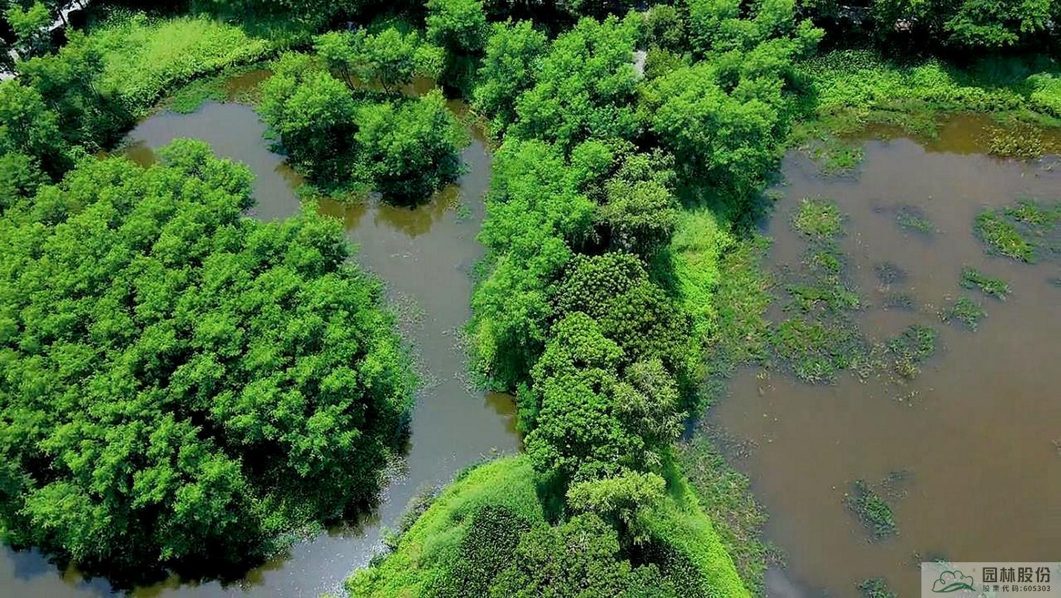 亚洲精品白浆高清久久久久久