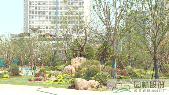 亚洲精品白浆高清久久久久久