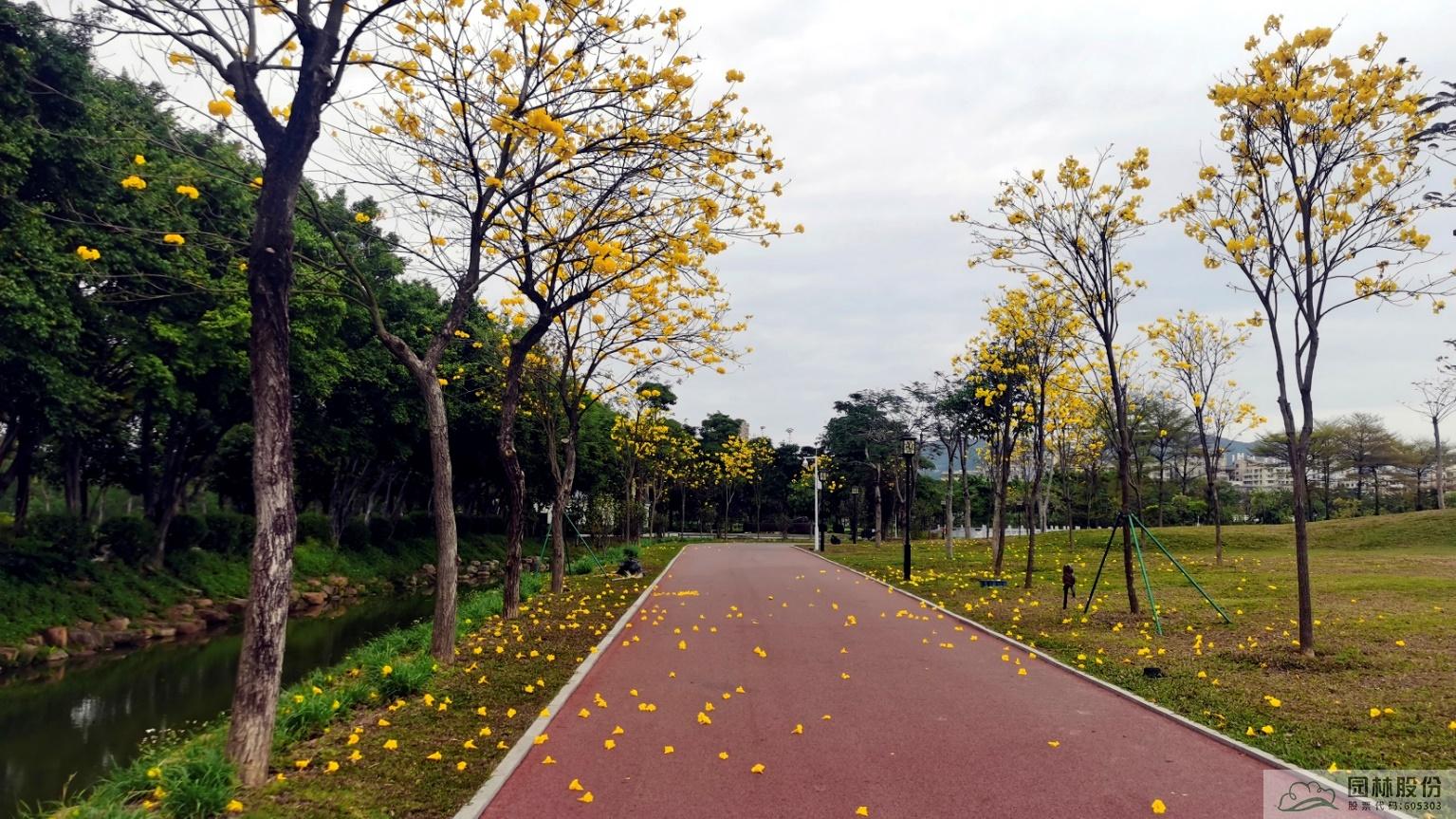 亚洲精品白浆高清久久久久久