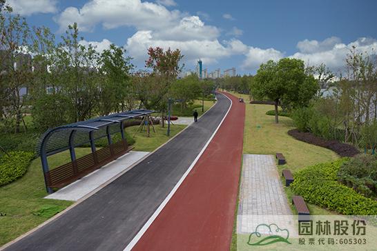 亚洲精品白浆高清久久久久久