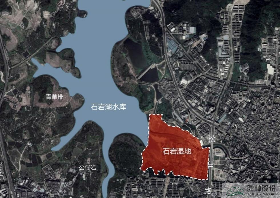 亚洲精品白浆高清久久久久久