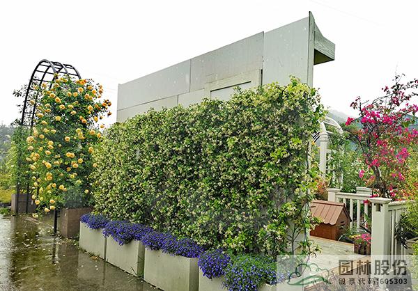 亚洲精品白浆高清久久久久久