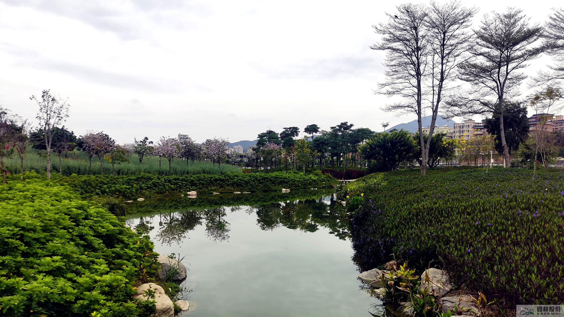 亚洲精品白浆高清久久久久久