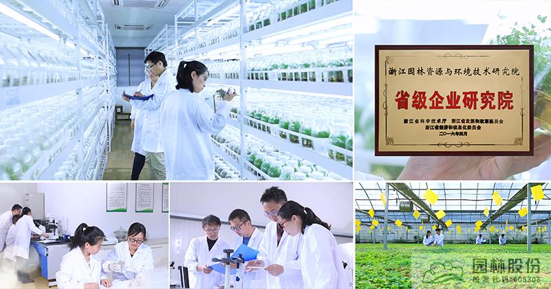 亚洲精品白浆高清久久久久久