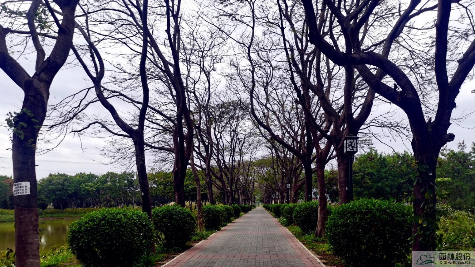 亚洲精品白浆高清久久久久久