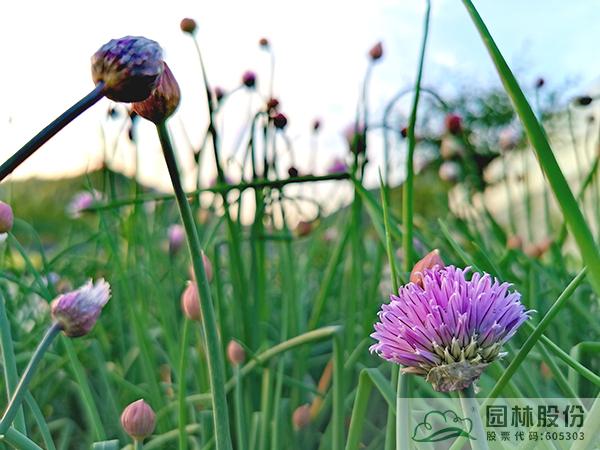 亚洲精品白浆高清久久久久久