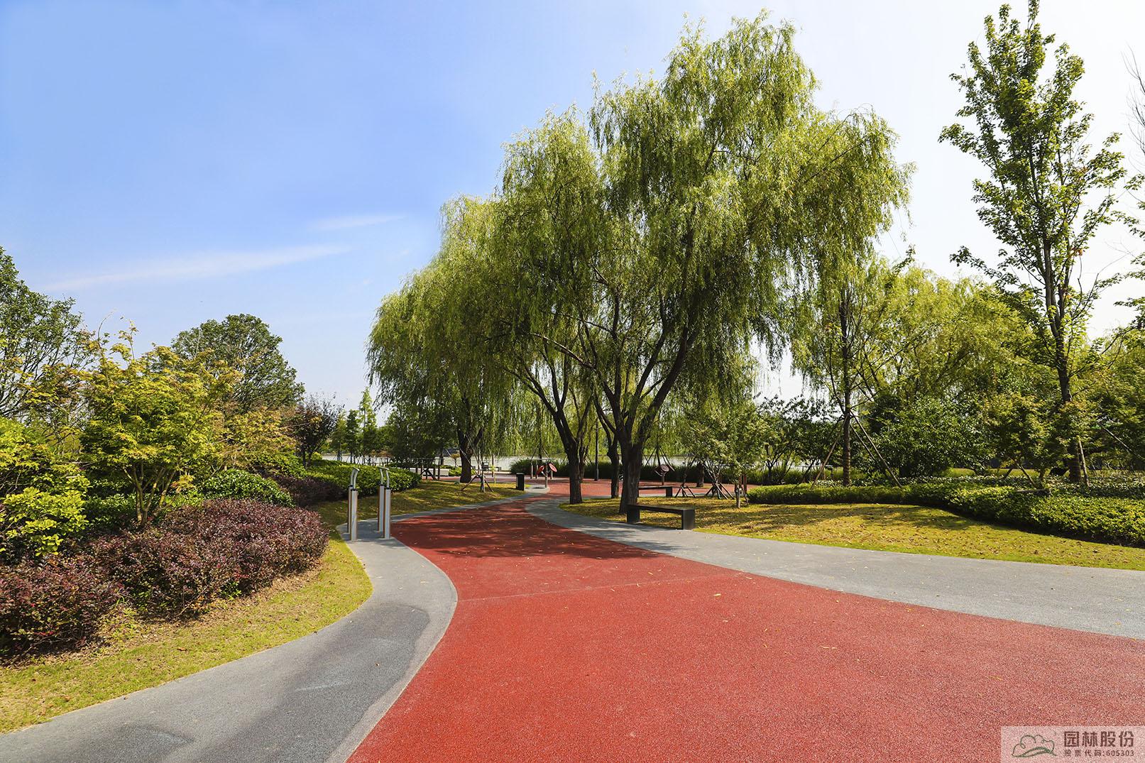 亚洲精品白浆高清久久久久久