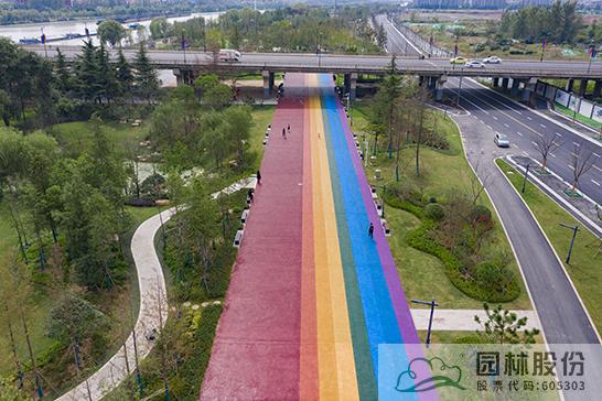 亚洲精品白浆高清久久久久久