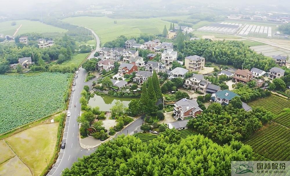 亚洲精品白浆高清久久久久久