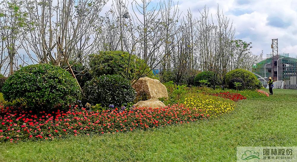 亚洲精品白浆高清久久久久久