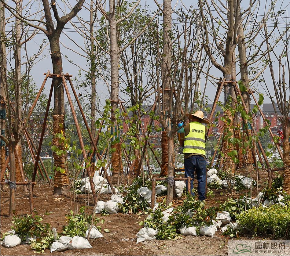 亚洲精品白浆高清久久久久久