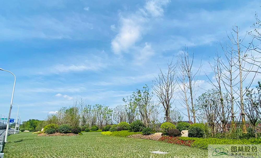 亚洲精品白浆高清久久久久久