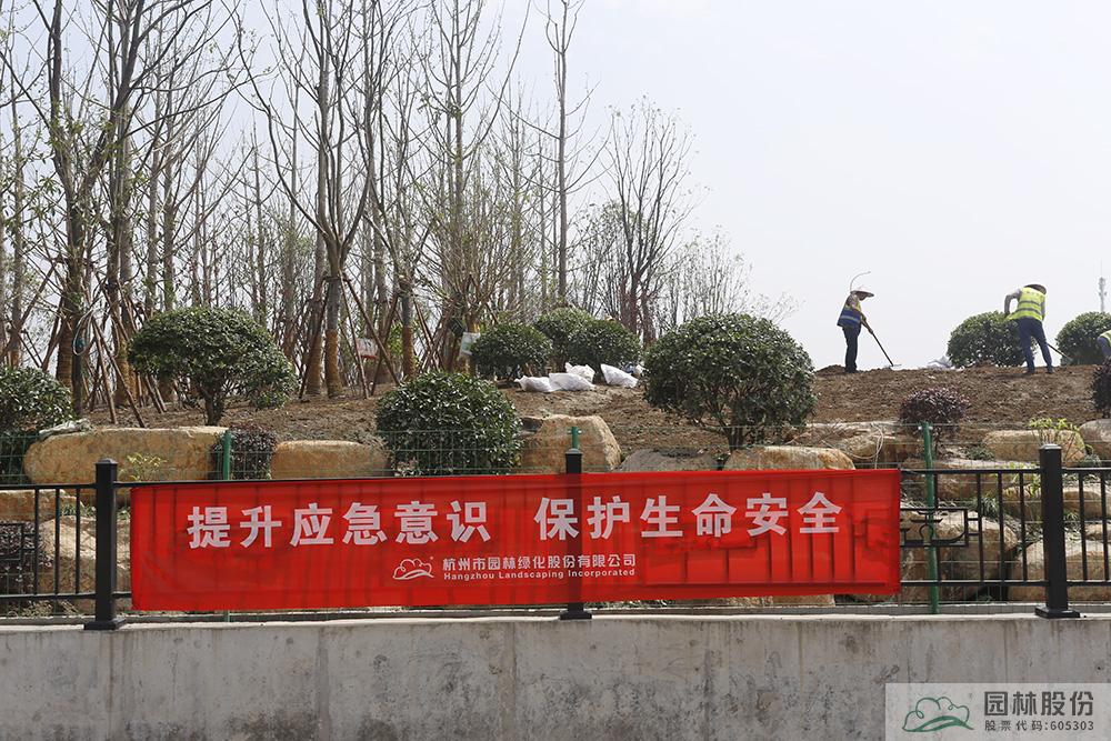 亚洲精品白浆高清久久久久久