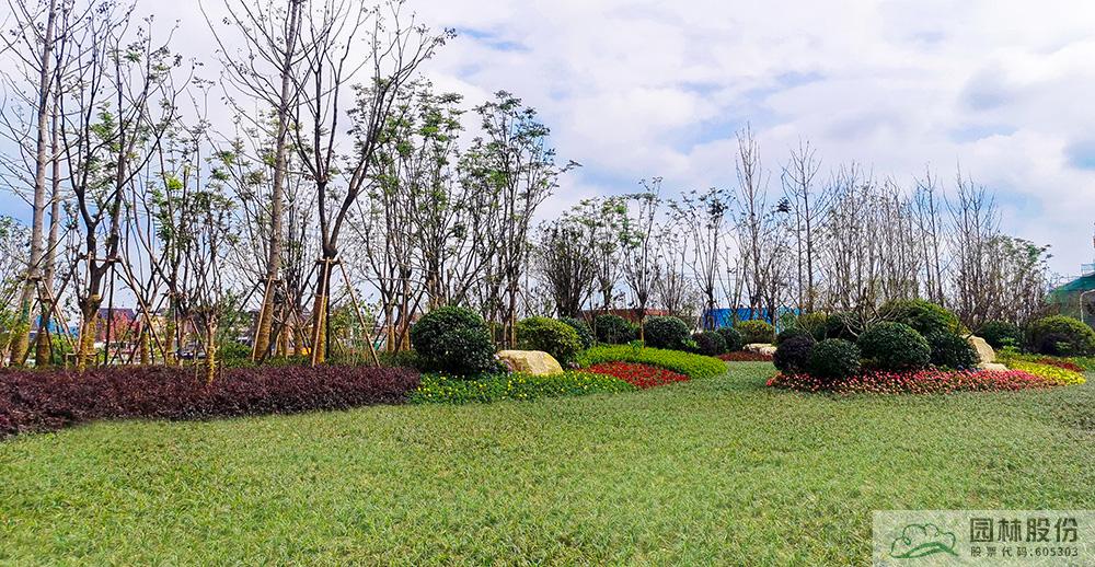 亚洲精品白浆高清久久久久久