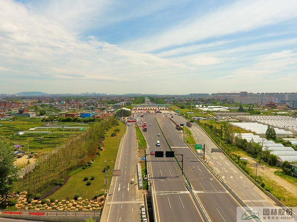 亚洲精品白浆高清久久久久久