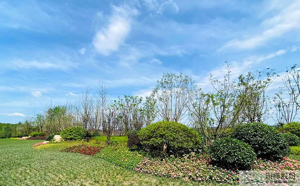 亚洲精品白浆高清久久久久久