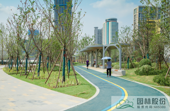 亚洲精品白浆高清久久久久久