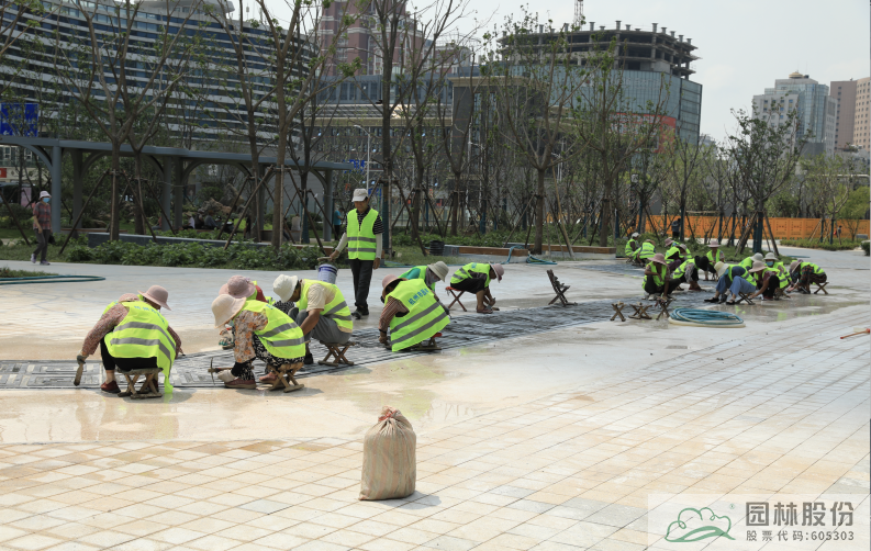 亚洲精品白浆高清久久久久久