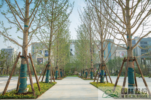 亚洲精品白浆高清久久久久久