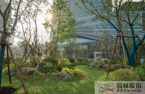 亚洲精品白浆高清久久久久久