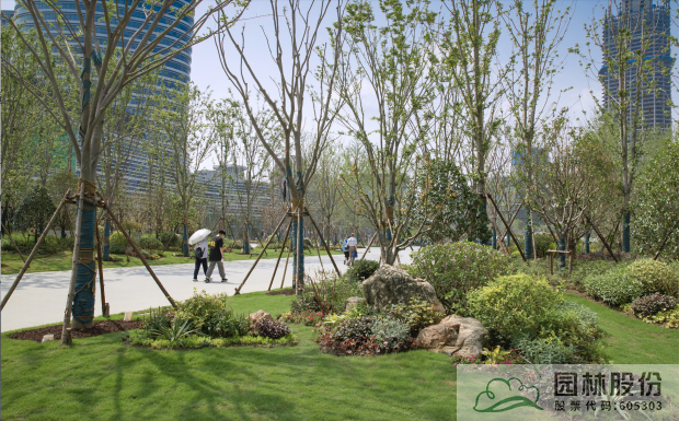 亚洲精品白浆高清久久久久久