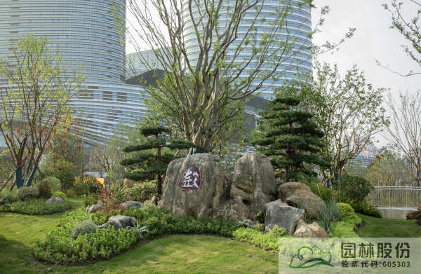 亚洲精品白浆高清久久久久久