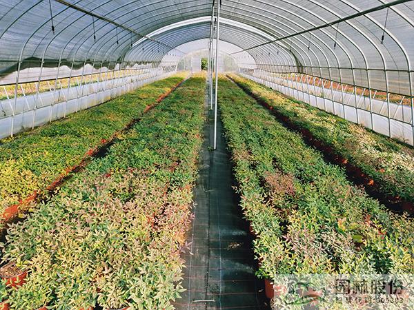 亚洲精品白浆高清久久久久久