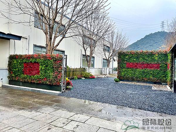 亚洲精品白浆高清久久久久久