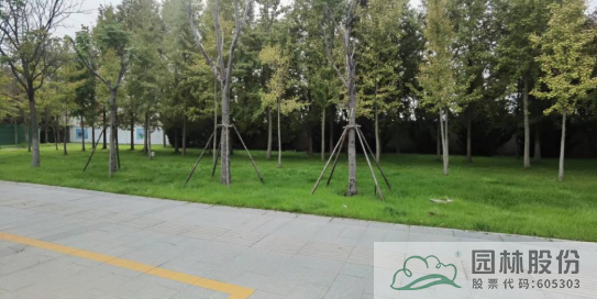 亚洲精品白浆高清久久久久久