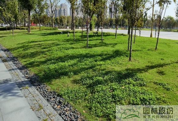 亚洲精品白浆高清久久久久久