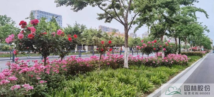 亚洲精品白浆高清久久久久久