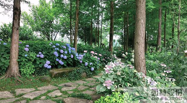 亚洲精品白浆高清久久久久久