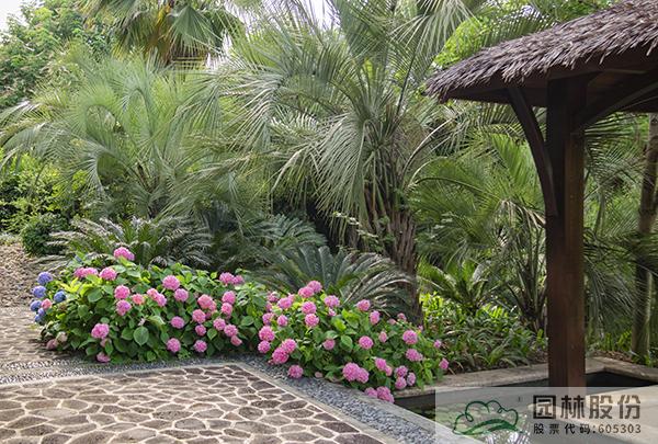 亚洲精品白浆高清久久久久久