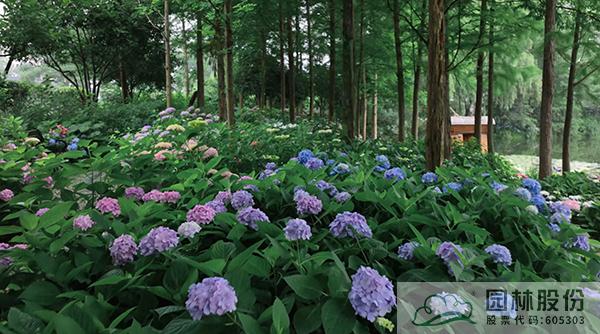 亚洲精品白浆高清久久久久久