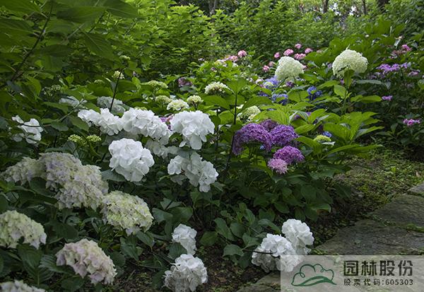 亚洲精品白浆高清久久久久久