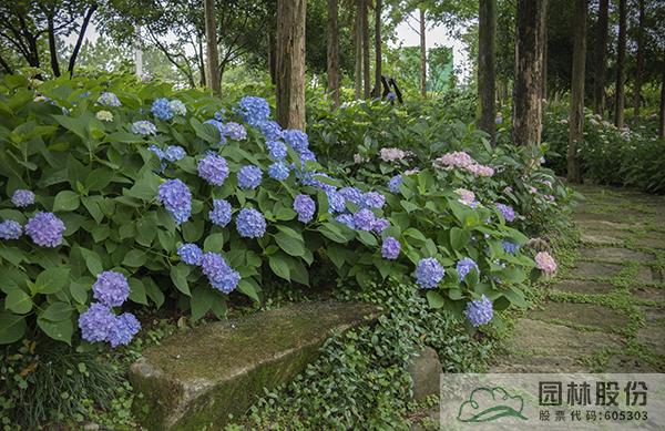 亚洲精品白浆高清久久久久久