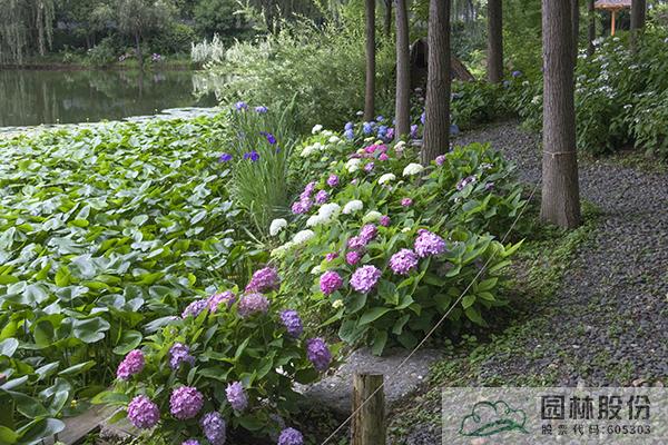 亚洲精品白浆高清久久久久久