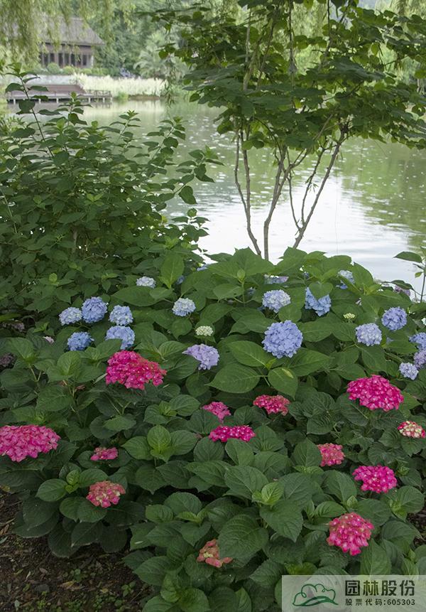 亚洲精品白浆高清久久久久久