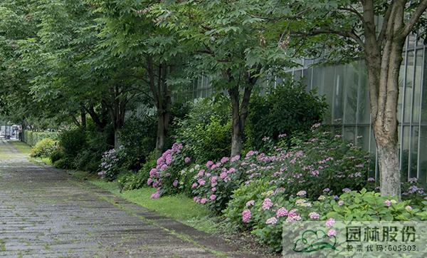 亚洲精品白浆高清久久久久久