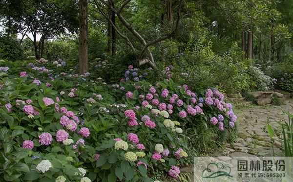 亚洲精品白浆高清久久久久久