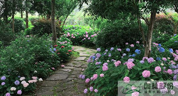 亚洲精品白浆高清久久久久久